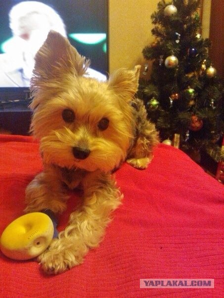 Когда на твоих глазах убивают друга...