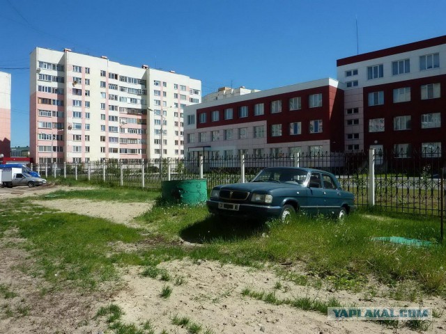 Мудаки и газоны