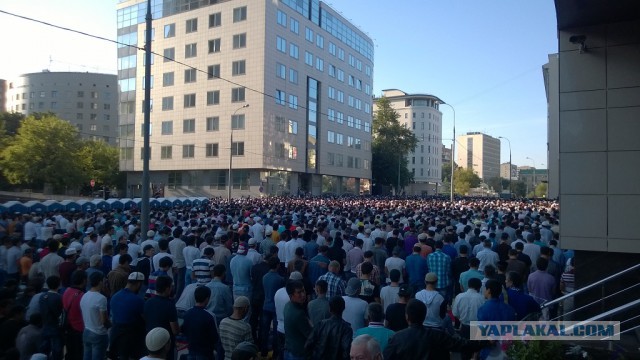 Домой я сегодня опять не попаду!