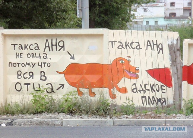 Уличный "вандализм" по-питерски
