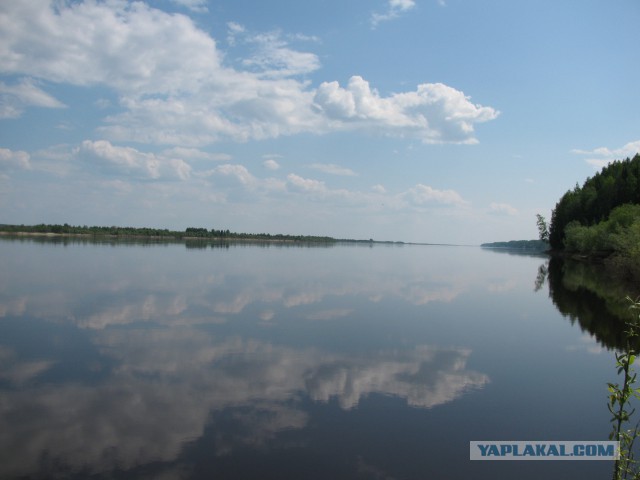 Дары Севера