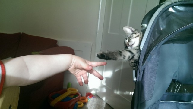 Для поднятия настоения