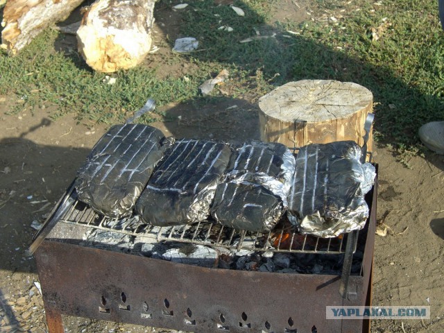 Дача, рукоделие и шашлыки