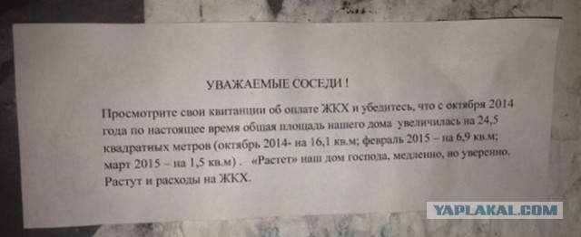 Весёлые картинки