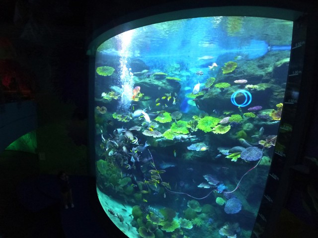 Полтора месяца безделья или "Первое семейное бюджетное путешествие"