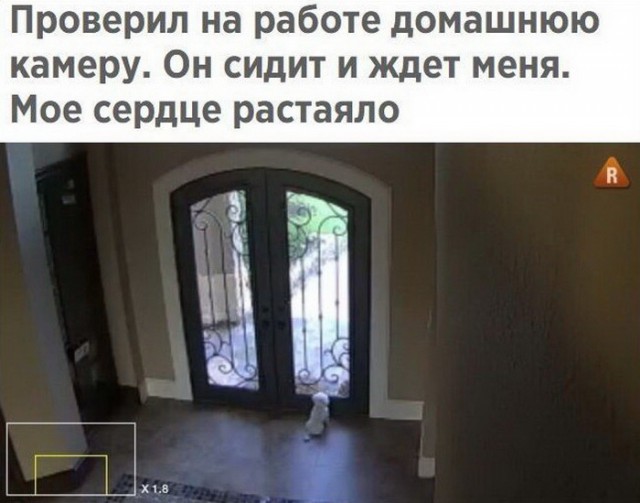 Подборка интересных и веселых картинок