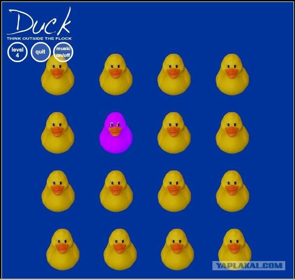 Duck / Утка