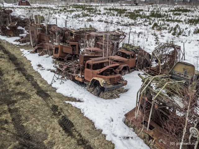 Поехал гулять в лес, а нашёл груды сожжённых военных машин