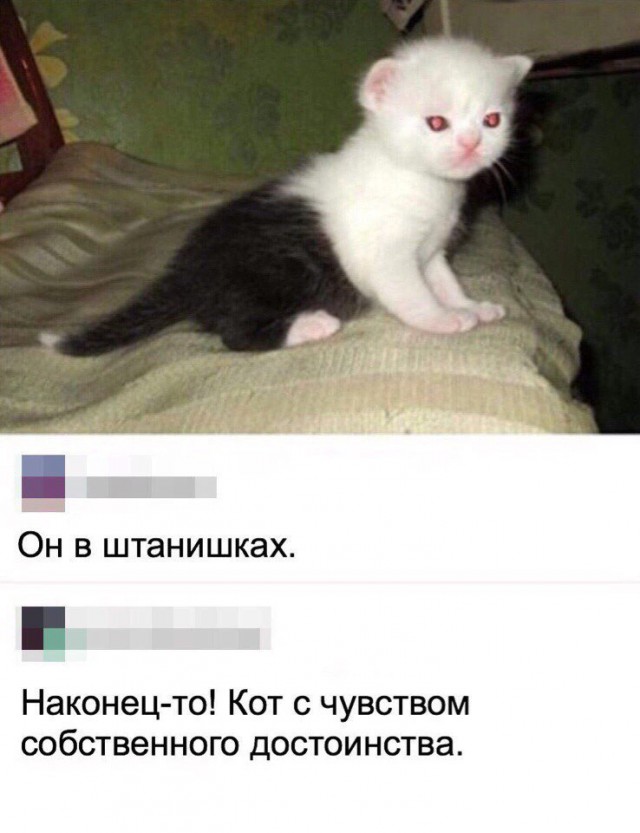 Прикольные картинки обо всем