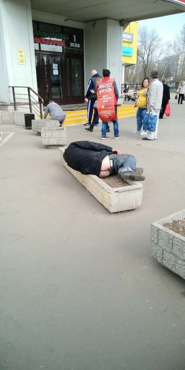 Скотсети и прочие интернеты 25.04.2019