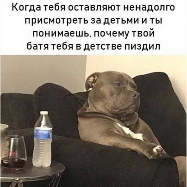 Гуляет Алиса по шахматным клеткам, или шоколадка за нольпятку