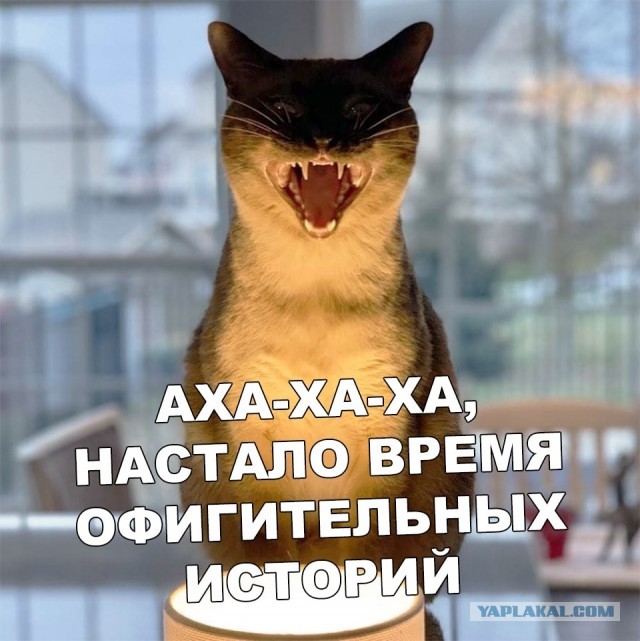 Секс в маршрутке