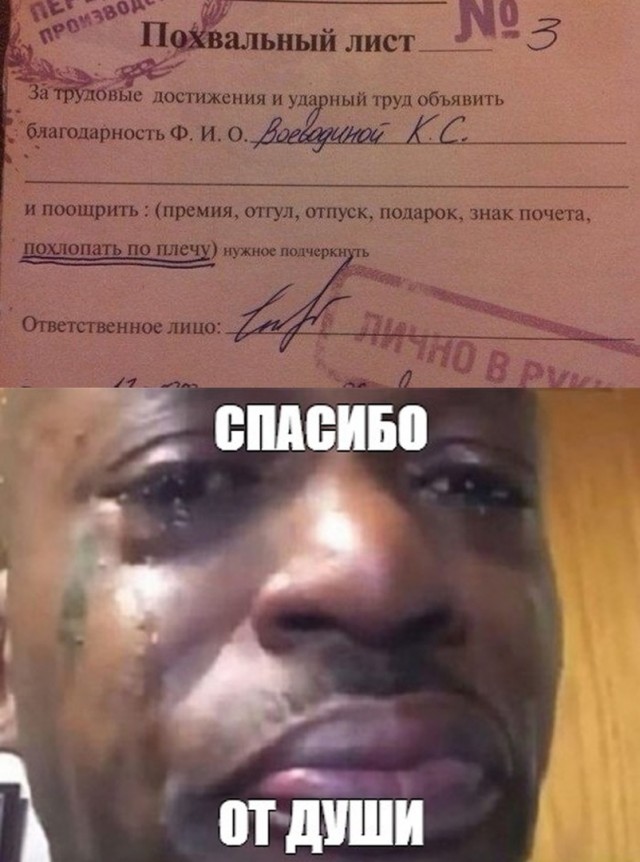 Чуток картинок! 22.12.19