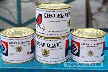 Что в голове у этих людей?