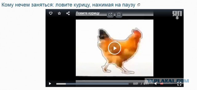 Кому нечем заняться: ловите курицу, нажимая на паузу