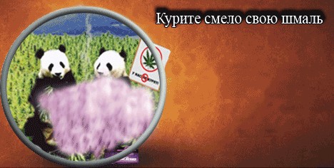 Фотожаба: Альянс Континенталь
