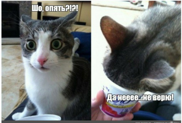 Я уверен, это какая-то ошибка