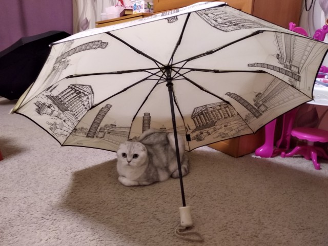 Моя красотка