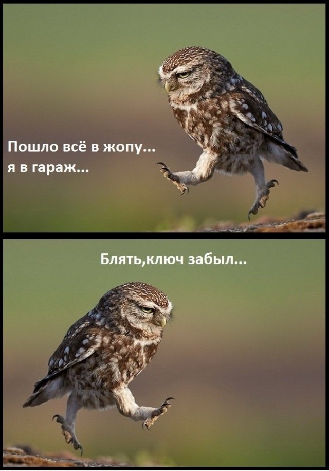 Подкаблучники, кто они и что ими движет