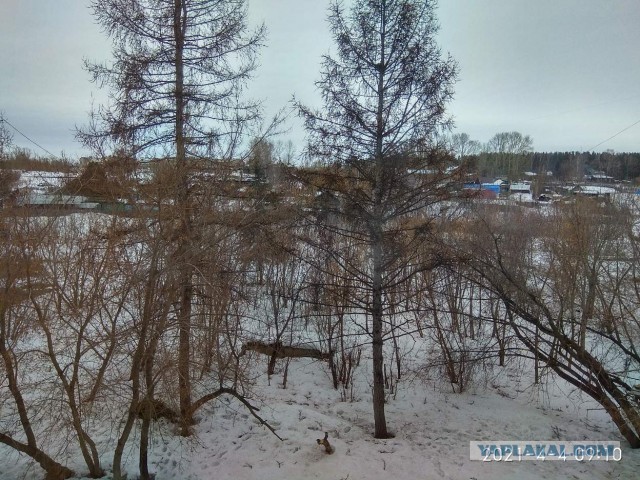 Эмиграция из России бьёт рекорды: статистика зашкаливает!