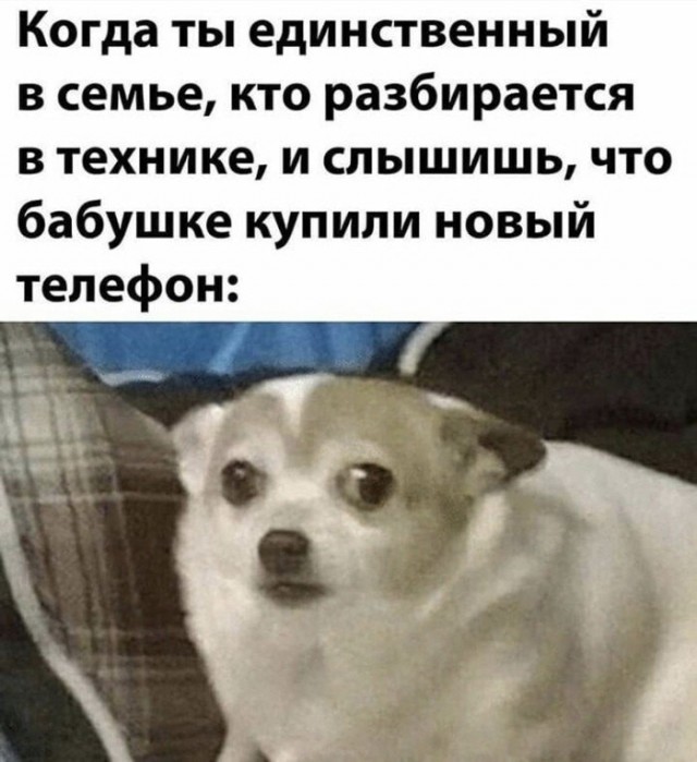 Совершенно упоротая тема о родственниках