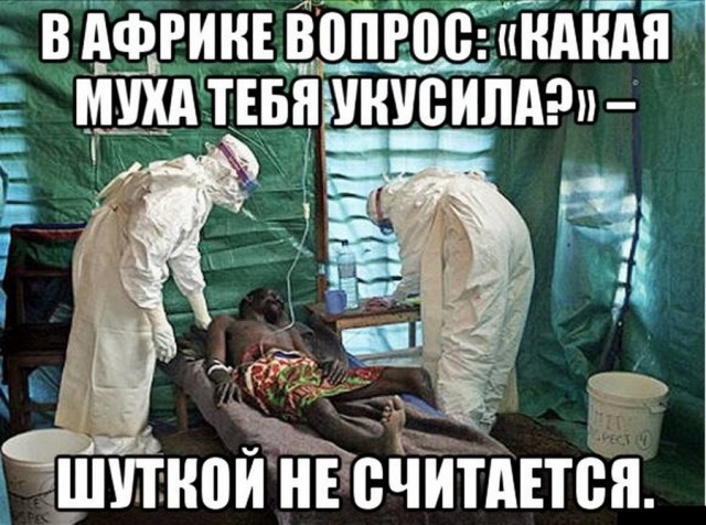 Черный юмор за 300