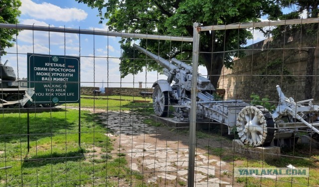 В Сербию на майские. Сложное, но увлекательное путешествие в пандемию