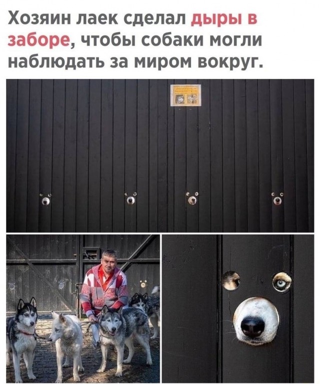 Картинки с надписями и всякие жизненные фразы 25.05.21