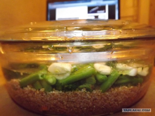 Кулинарная беседка