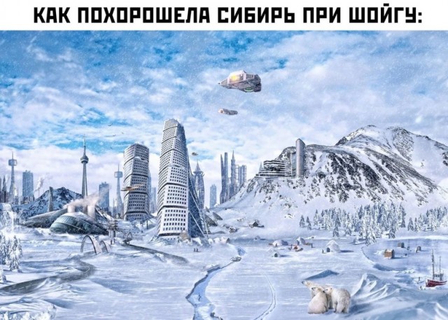 Весёлый полтишок 10.08
