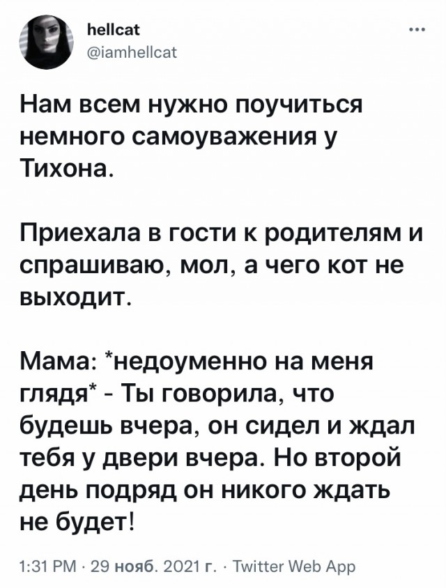 Так себе картинки 09.12.21