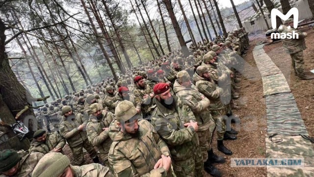 Россия начала "специальную военную операцию" на Украине