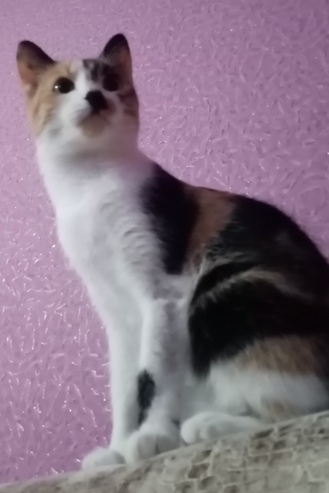 Про Дусю!