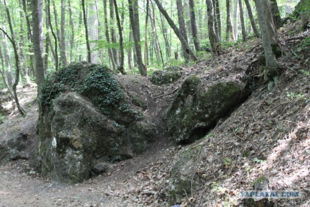 Крым. Евпатория, Ялта... да и вообще на машине