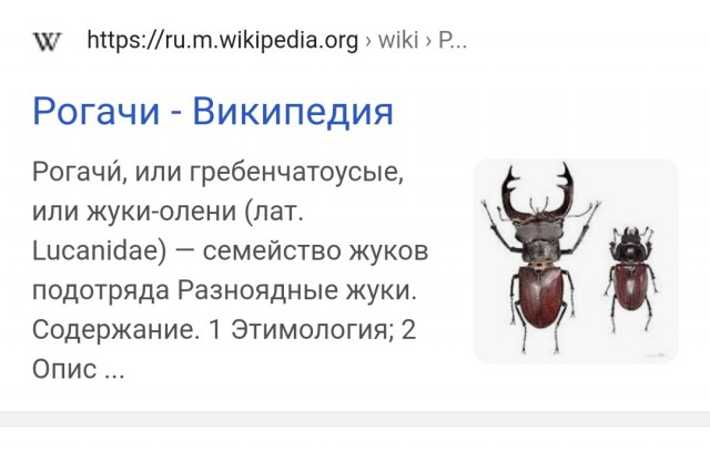 Ничто не выдавало его за советского разведчика...