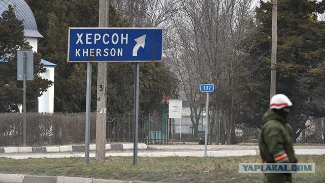 Власти Херсонской области намериены попросить Путина о принятии в состав РФ