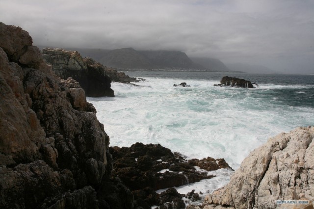 ЮАР, Замбия, Ботсвана