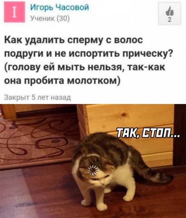 Картинки и мемы, всем хороших выходных