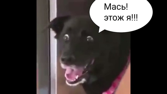 Странная женская натура. Вам для чего это надо?