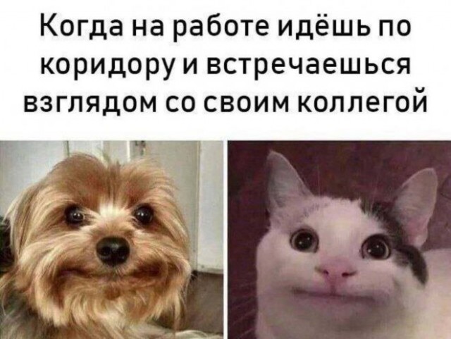 Немного картинок для настроения - 117