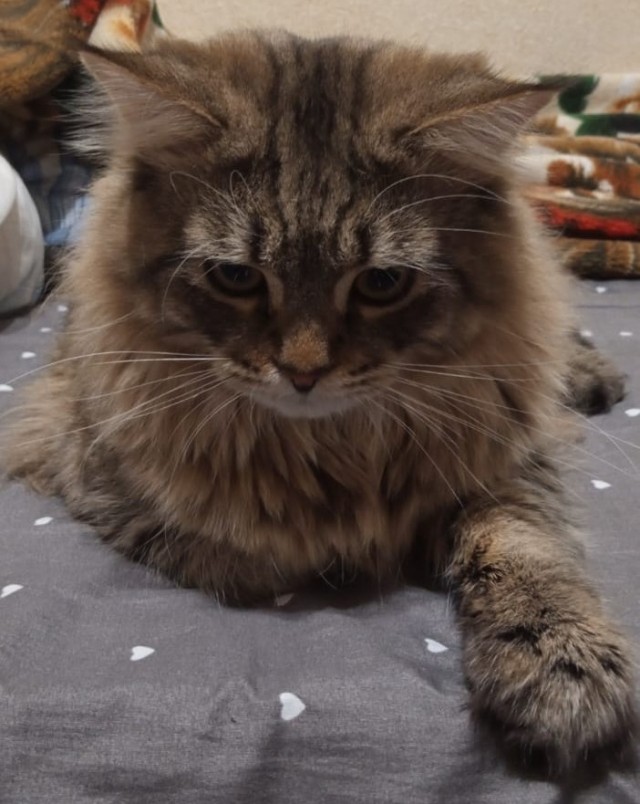 Совпало же? В котовторник