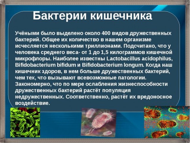 Пошлость, шутки, два ствола
