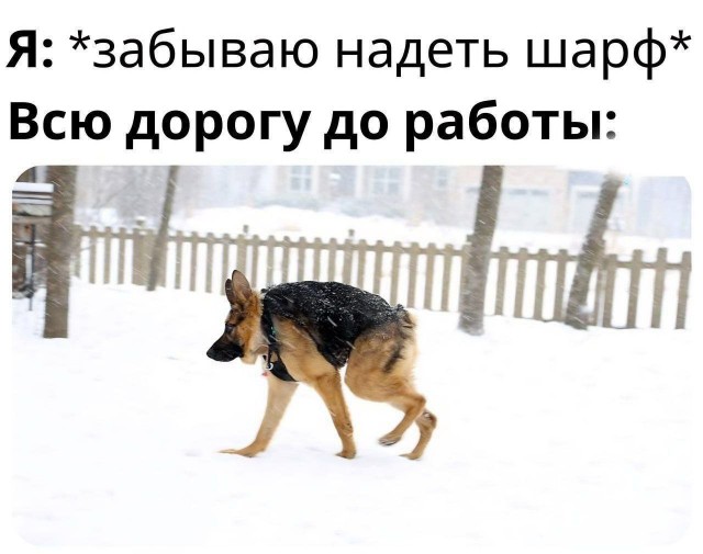 Картинок разной степени @анутости псто.