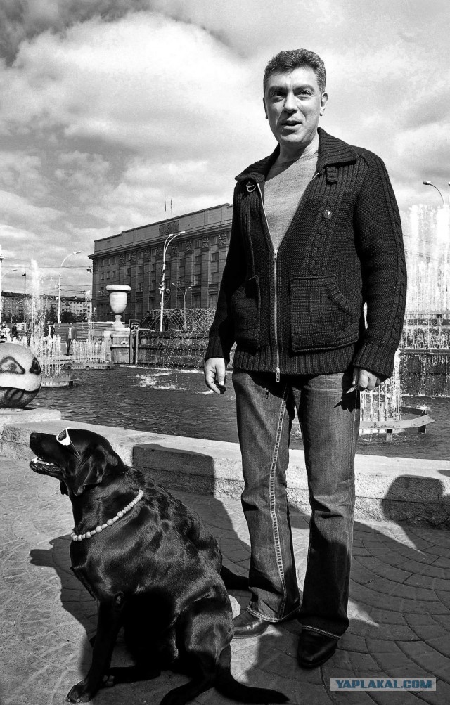 Путинские псы