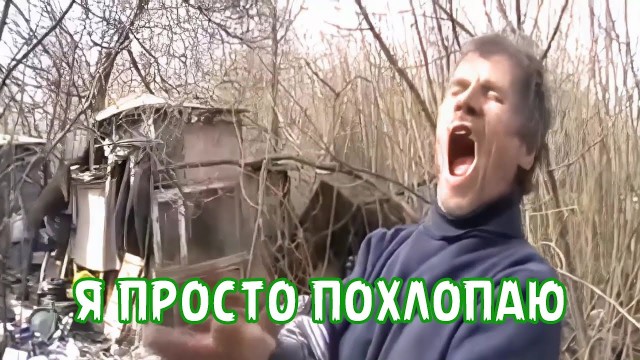Сионист Пидоров, плесень в промежности и роды лосихи