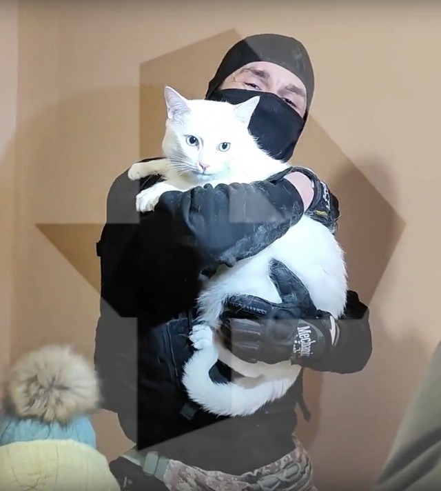 В Новой Москве спасли кота, жалобно мяукавшего в квартире неделю