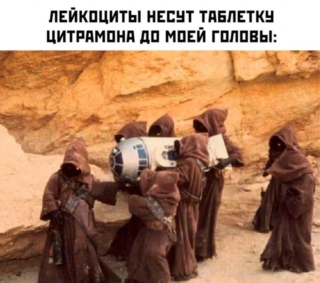 Тлидцать тли от 11 маЛта
