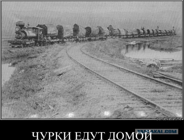 Всё для комфорта мигрантов: Депутаты решили наделить диаспоры реальной властью