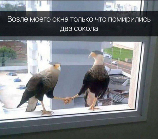 Всего понемногу. От 16.05.2024