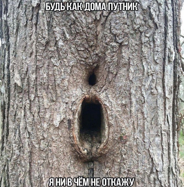 ТРРРидцать тРРРи от 21 мая